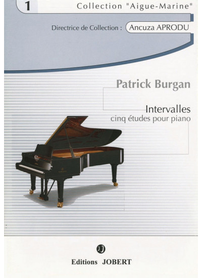 jj13525-burgan-patrick-intervalles