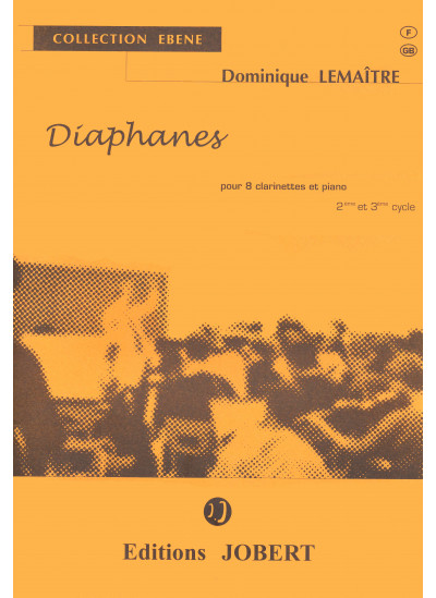 jj13136-lemaitre-dominique-diaphanes
