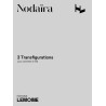 29747-nodaira-ichiro-3-transfigurations