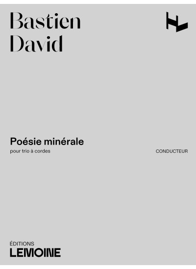 29704-david-bastien-poesie-minerale