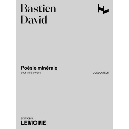 29704-david-bastien-poesie-minerale