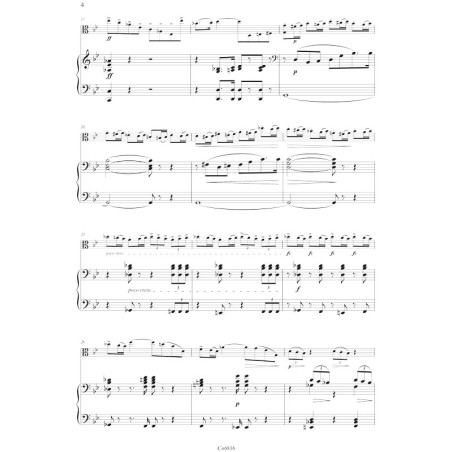 Concertino en Sol min. Op.96