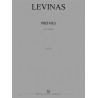 27201-levinas-michael-prefixes