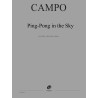 29500-campo-regis-ping-pong-in-the-sky