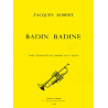 c04656-robert-jacques-badin-badine