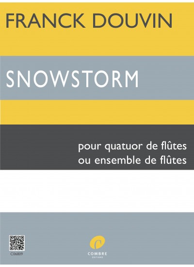 c06809-douvin-franck-snowstorm