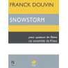 c06809-douvin-franck-snowstorm