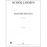 d1187-schollhorn-johannes-ralentir-travaux